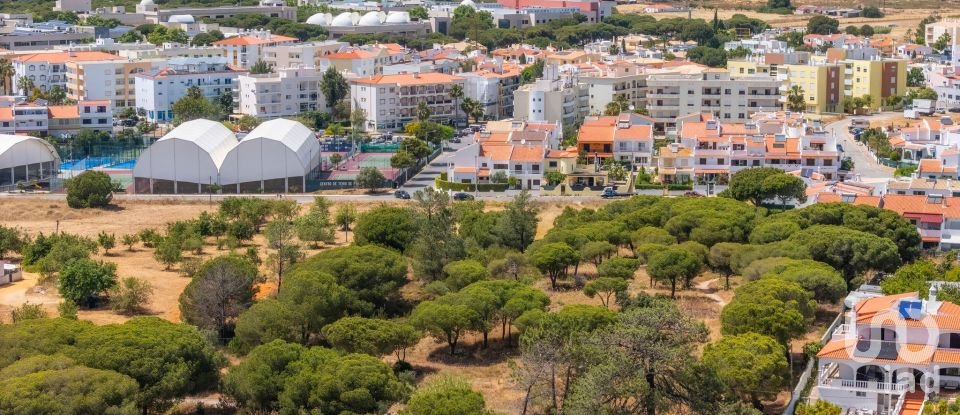 Terreno em Montenegro de 5 320 m²