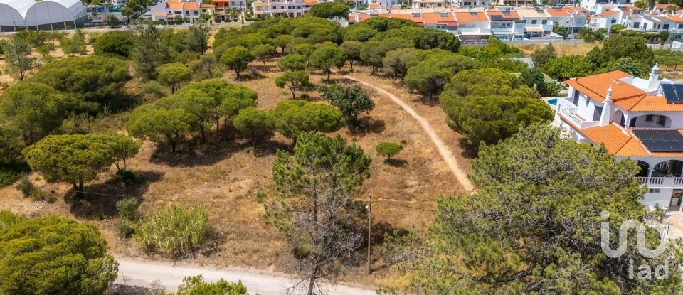 Terreno em Montenegro de 5 320 m²