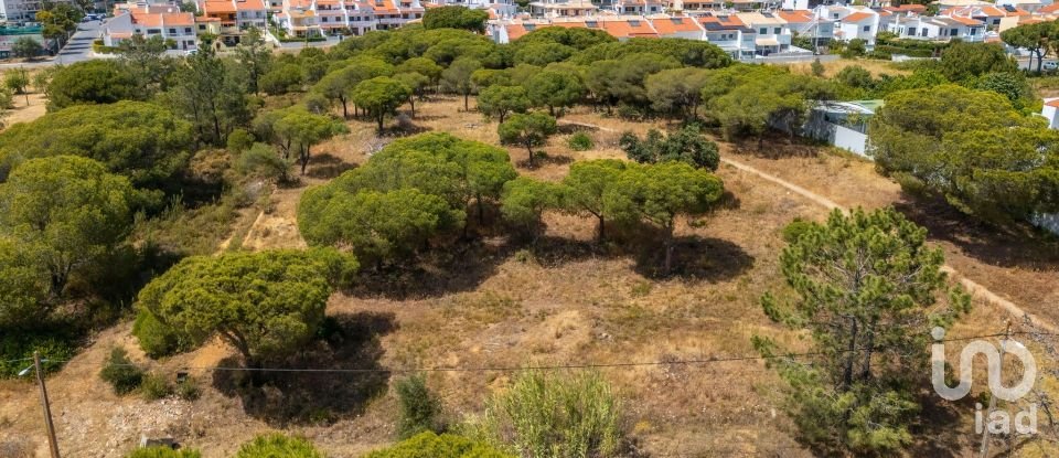 Terreno em Montenegro de 5 320 m²