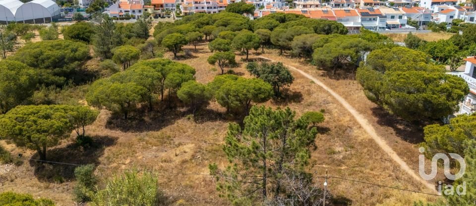 Terreno em Montenegro de 5 320 m²