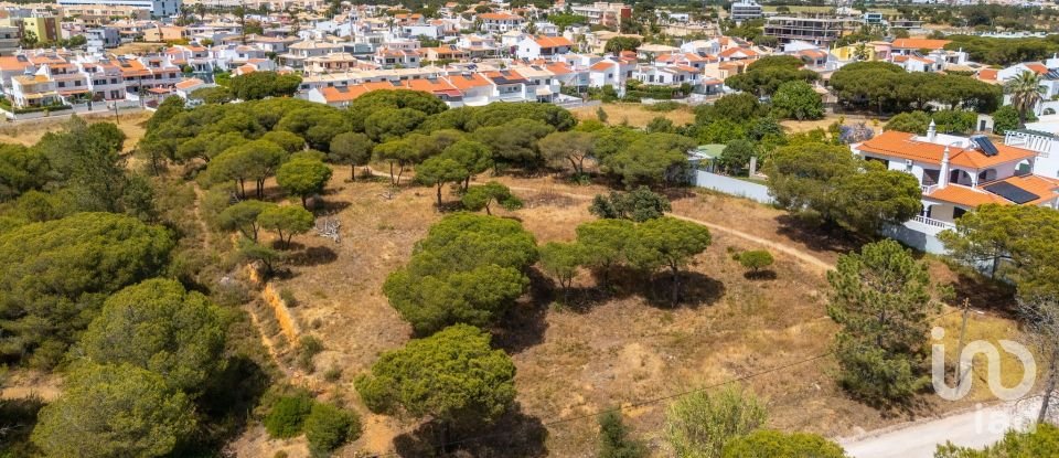 Terreno em Montenegro de 5 320 m²