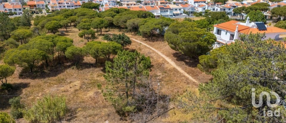 Terreno em Montenegro de 5 320 m²