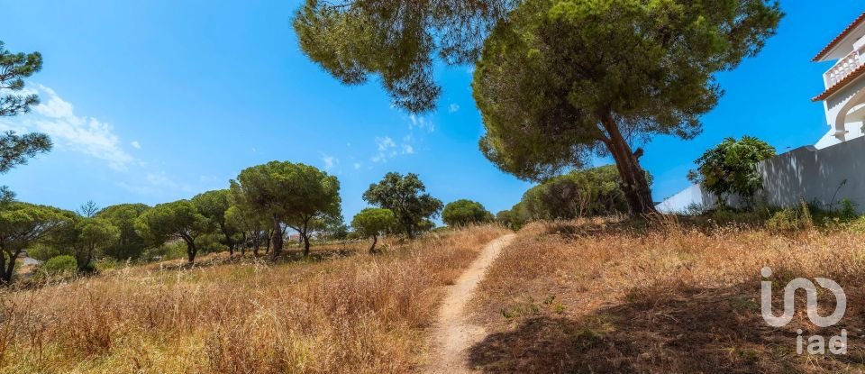 Terreno em Montenegro de 5 320 m²