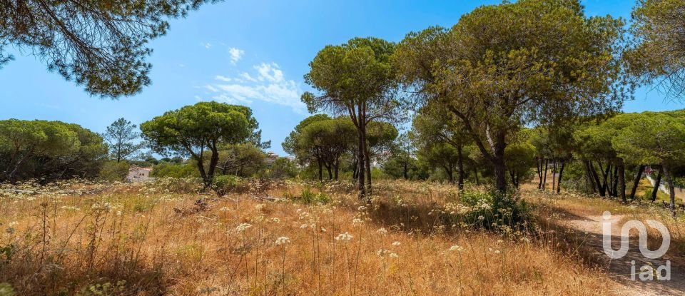 Terreno em Montenegro de 5 320 m²