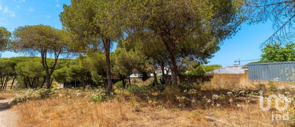 Terreno em Montenegro de 5 320 m²