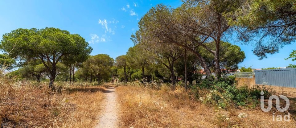 Terreno em Montenegro de 5 320 m²