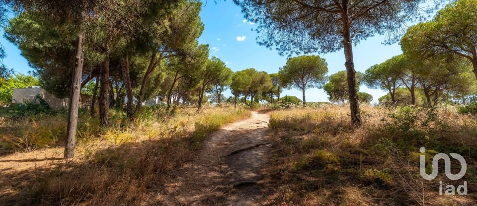 Terreno em Montenegro de 5 320 m²