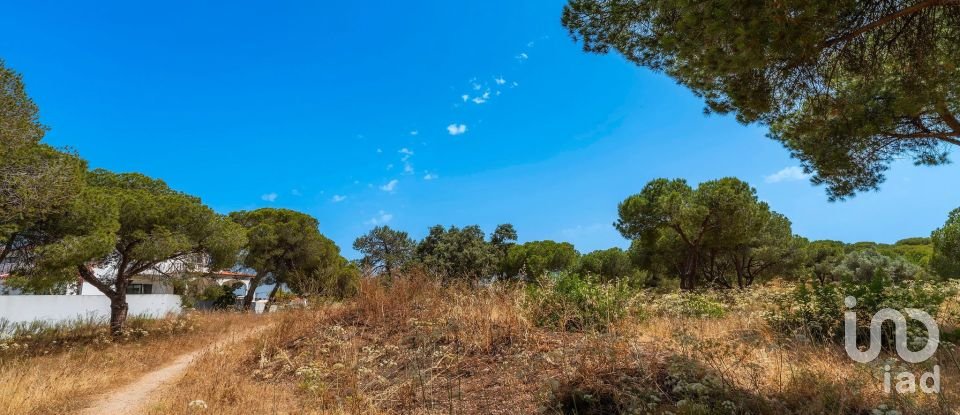 Terreno em Montenegro de 5 320 m²