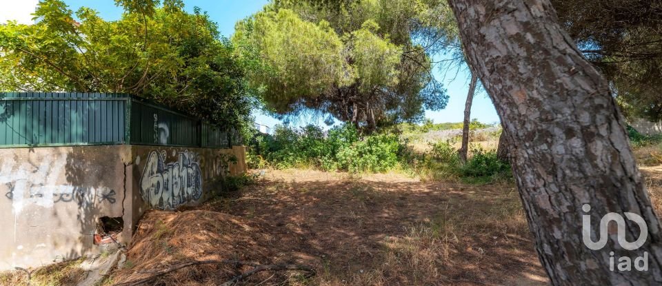 Terreno em Montenegro de 5 320 m²