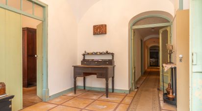 Maison T8 à Serpa (Salvador e Santa Maria) de 300 m²