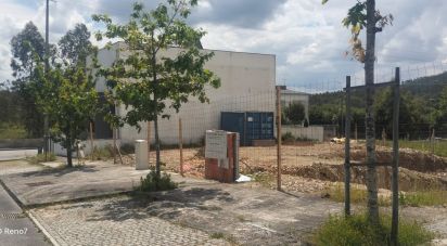 Terrain à bâtir à Folgosa de 300 m²