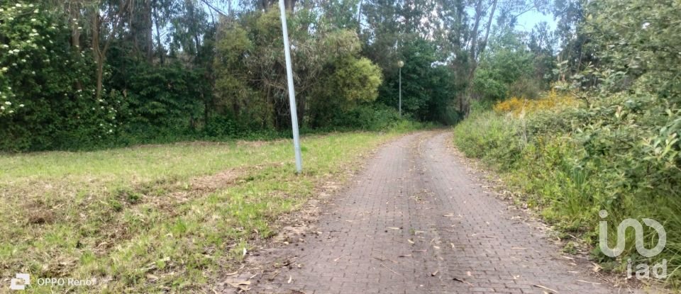 Terrain à bâtir à Folgosa de 300 m²