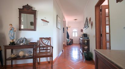 Ferme T4 à Cartaxo e Vale da Pinta de 396 m²