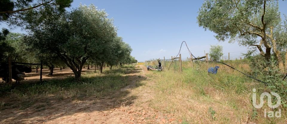 Ferme T4 à Cartaxo e Vale da Pinta de 396 m²