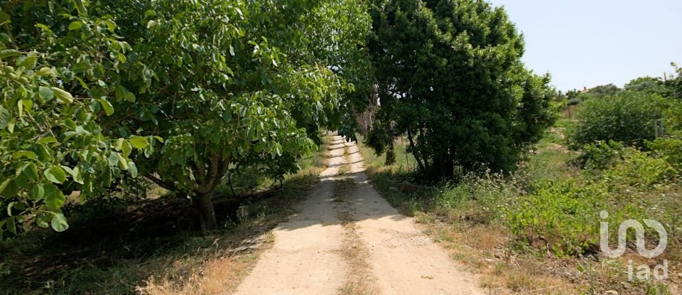 Ferme T4 à Cartaxo e Vale da Pinta de 396 m²