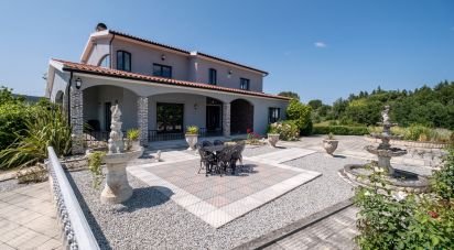 Maison T6 à Secarias de 398 m²