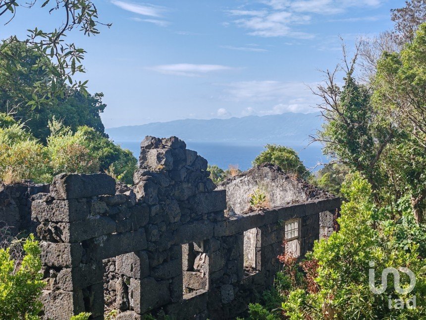 Maison T2 à Ribeirinha de 695 m²