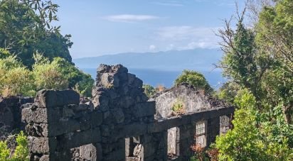 Maison T2 à Ribeirinha de 695 m²