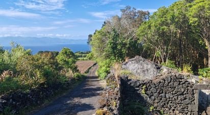 Maison T2 à Ribeirinha de 695 m²