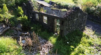 Maison T2 à Ribeirinha de 695 m²