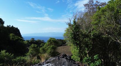 Maison T2 à Ribeirinha de 695 m²