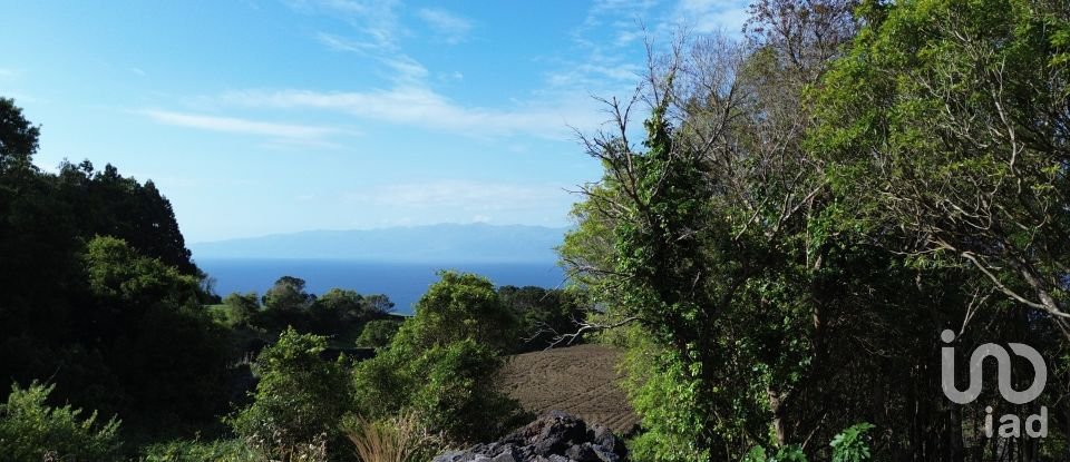 Maison T2 à Ribeirinha de 695 m²