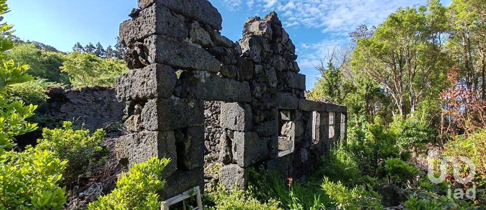 Maison T2 à Ribeirinha de 695 m²