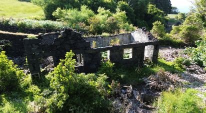 Maison T2 à Ribeirinha de 695 m²