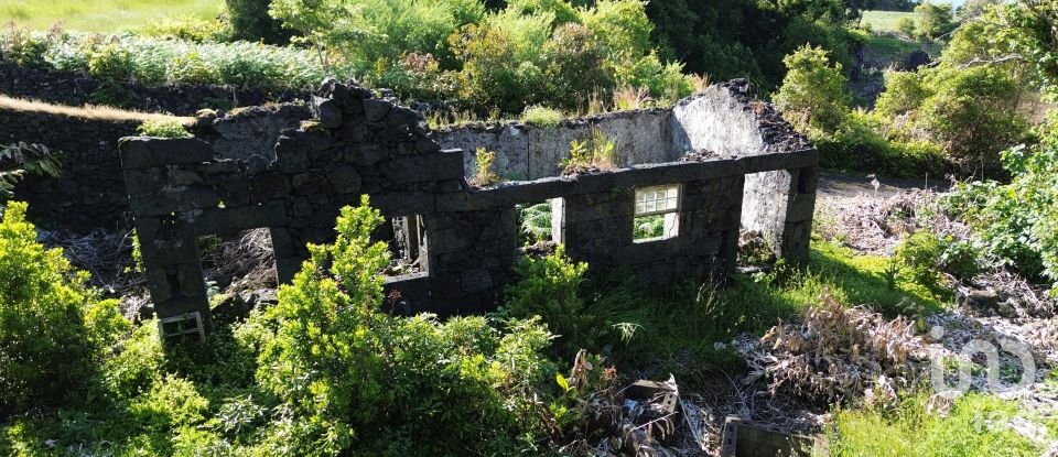 Maison T2 à Ribeirinha de 695 m²