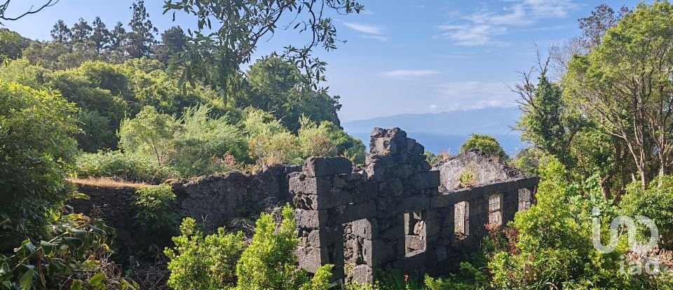 Maison T2 à Ribeirinha de 695 m²