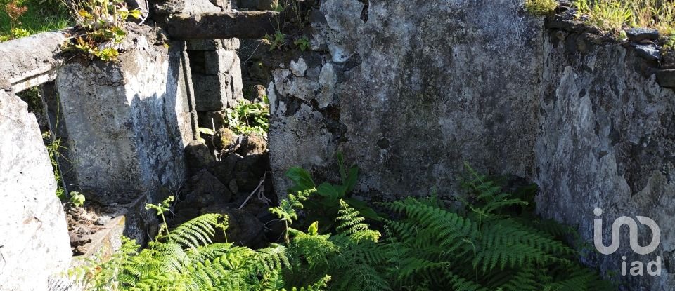 Maison T2 à Ribeirinha de 695 m²