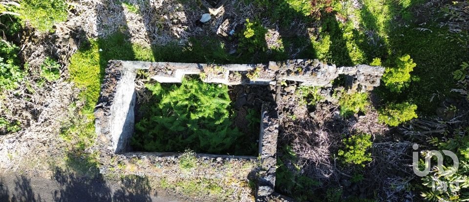 Maison T2 à Ribeirinha de 695 m²