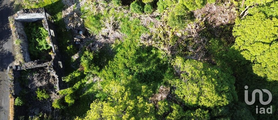 Maison T2 à Ribeirinha de 695 m²