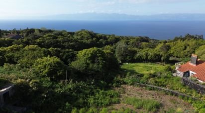 Gîte T3 à Ribeirinha de 374 m²