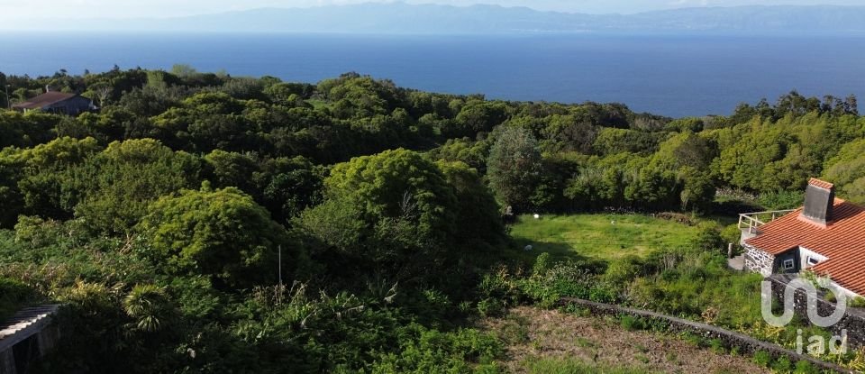 Lodge T3 in Ribeirinha of 374 m²