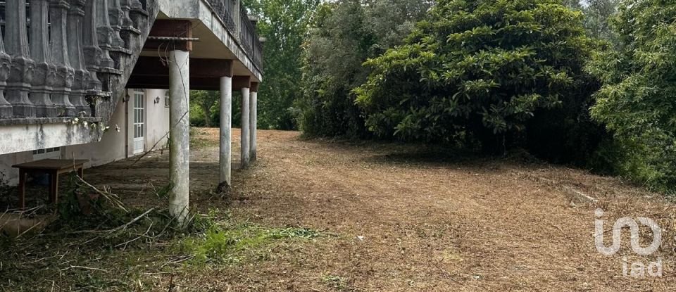 House T4 in Águeda e Borralha of 728 m²