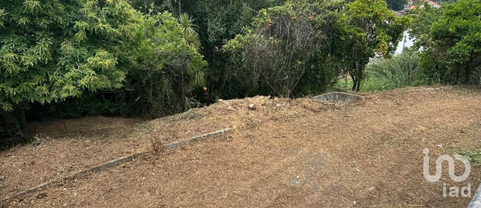 House T4 in Águeda e Borralha of 728 m²