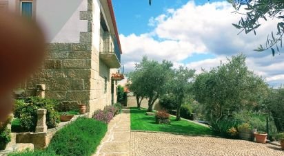 House T3 in São Lourenço de Ribapinhão of 180 m²