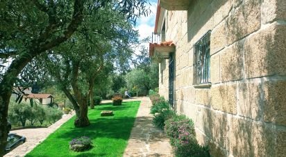 House T3 in São Lourenço de Ribapinhão of 180 m²