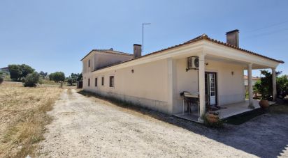 House T3 in São João da Ribeira e Ribeira de São João of 269 m²