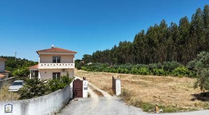 House T3 in São João da Ribeira e Ribeira de São João of 269 m²