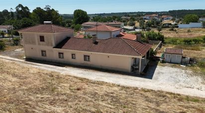 House T3 in São João da Ribeira e Ribeira de São João of 269 m²