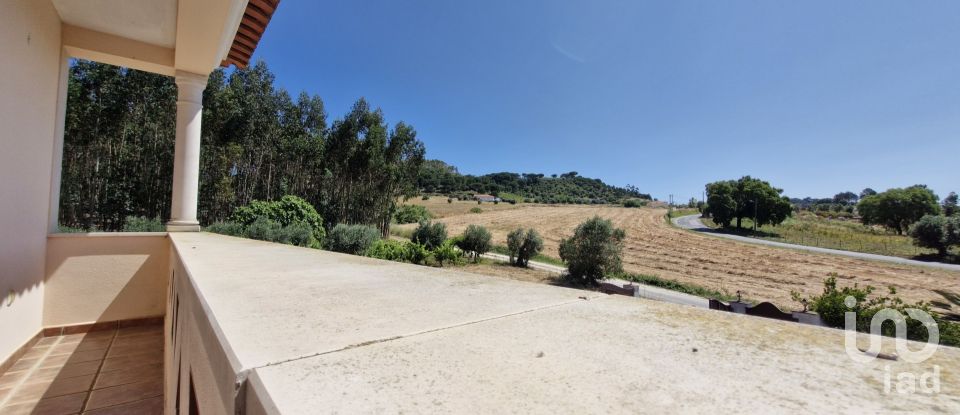 Moradia T3 em São João da Ribeira e Ribeira de São João de 269 m²