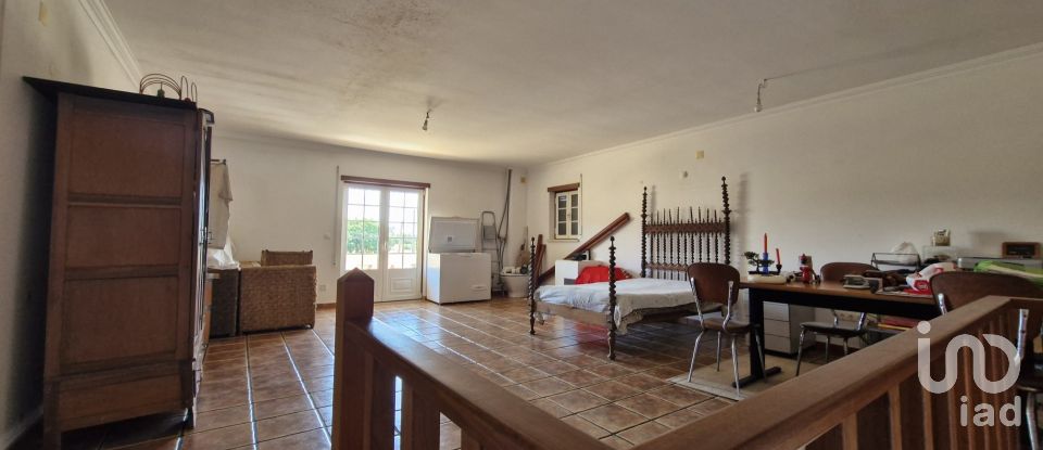 Moradia T3 em São João da Ribeira e Ribeira de São João de 269 m²