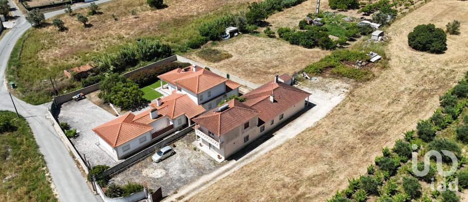 Moradia T3 em São João da Ribeira e Ribeira de São João de 269 m²