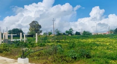 Terrain à Alcantarilha e Pêra de 521 m²