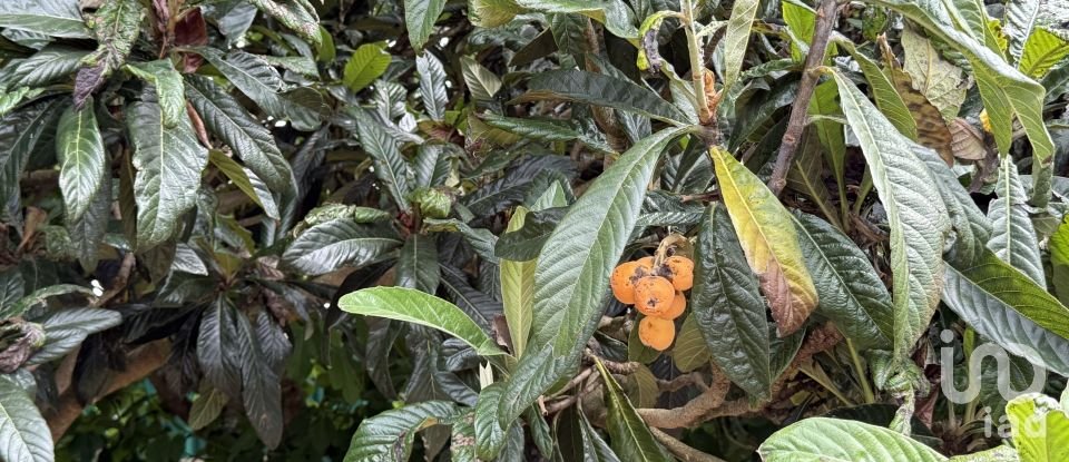 Moradia T3 em São Bartolomeu dos Galegos e Moledo de 190 m²