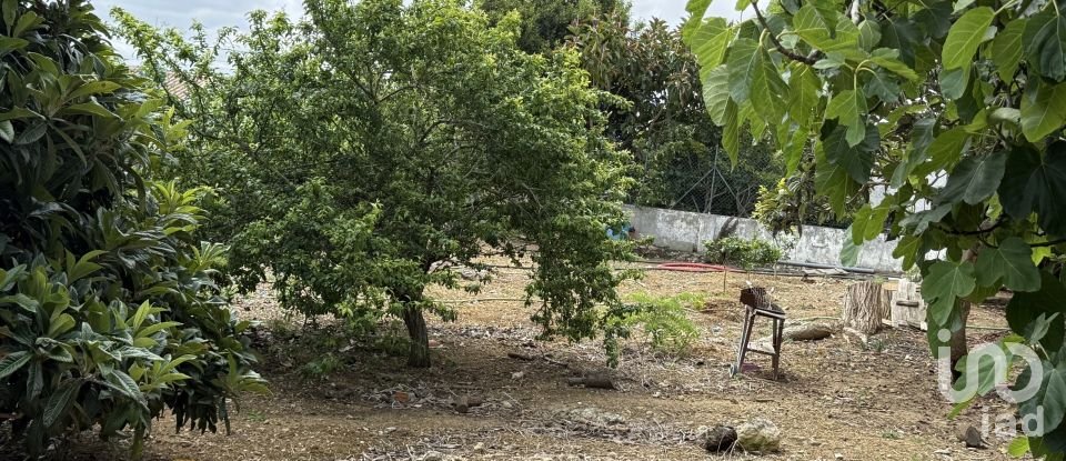 Moradia T3 em São Bartolomeu dos Galegos e Moledo de 190 m²