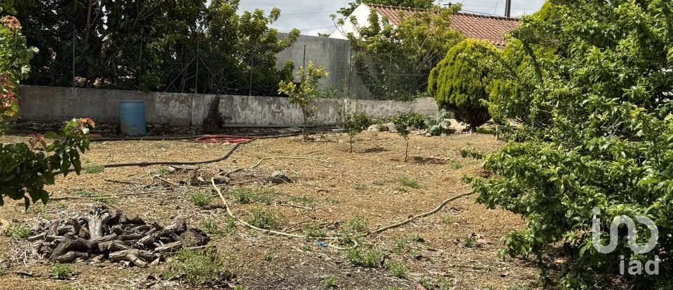 Moradia T3 em São Bartolomeu dos Galegos e Moledo de 190 m²