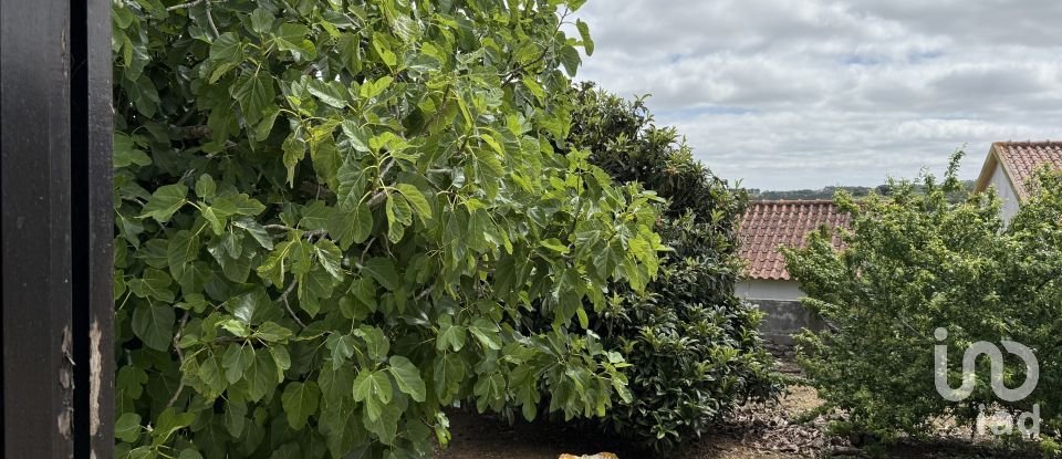 Moradia T3 em São Bartolomeu dos Galegos e Moledo de 190 m²